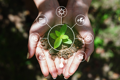 Energy Assessment Grant